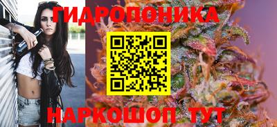 прущие грибы Ипатово