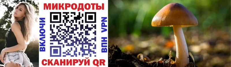 где продают   Уфа  гидра как войти  Галлюциногенные грибы мицелий 