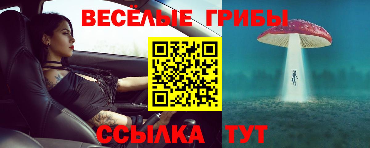 Псилоцибиновые грибы MAGIC MUSHROOMS  Вход с VPN  наркошоп  Уфа 